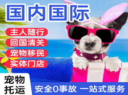成都天府机场快运国际宠物托运 【国
